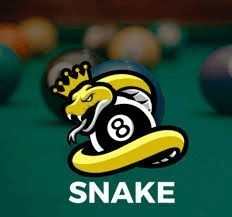 Snake 8 Ball Pool Apk download